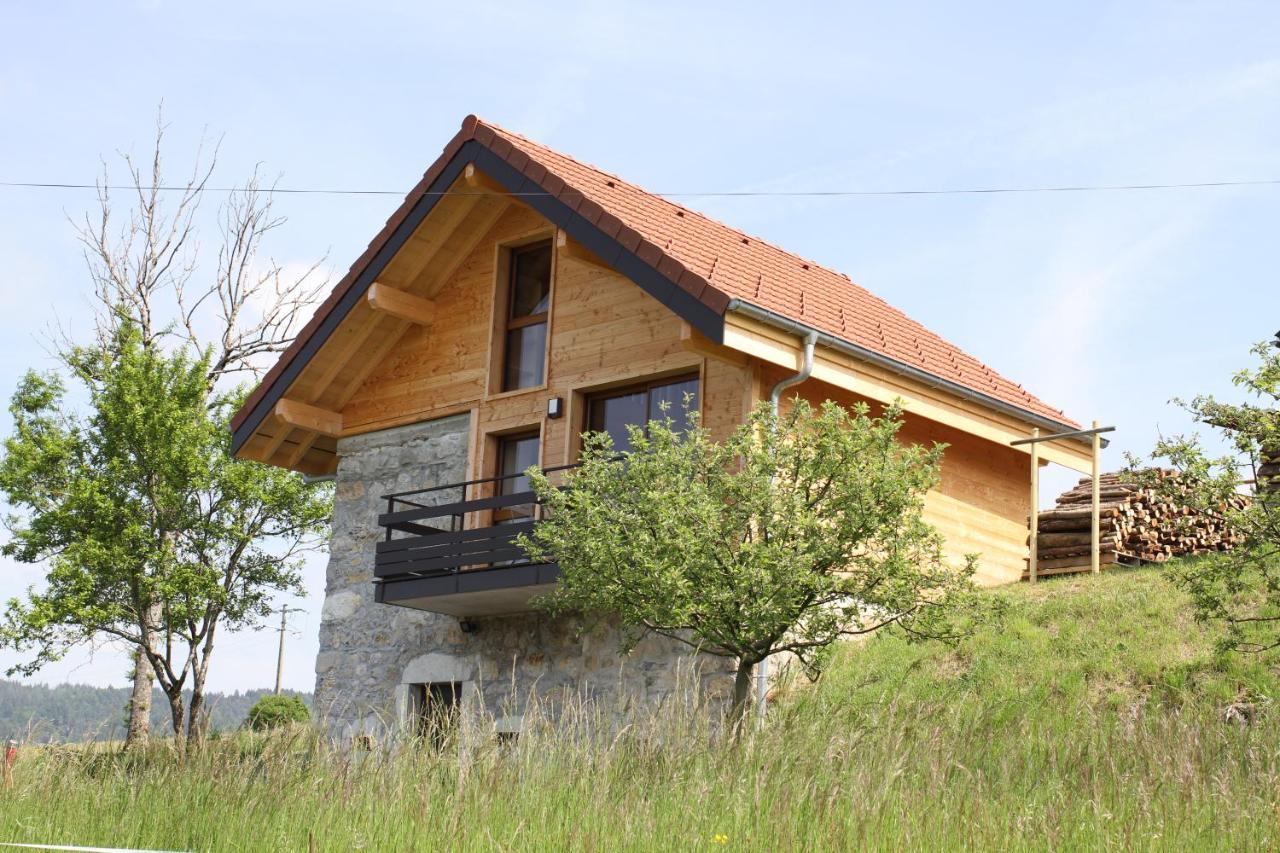 Le chalet des Pierres Viuz-en-Sallaz Extérieur photo