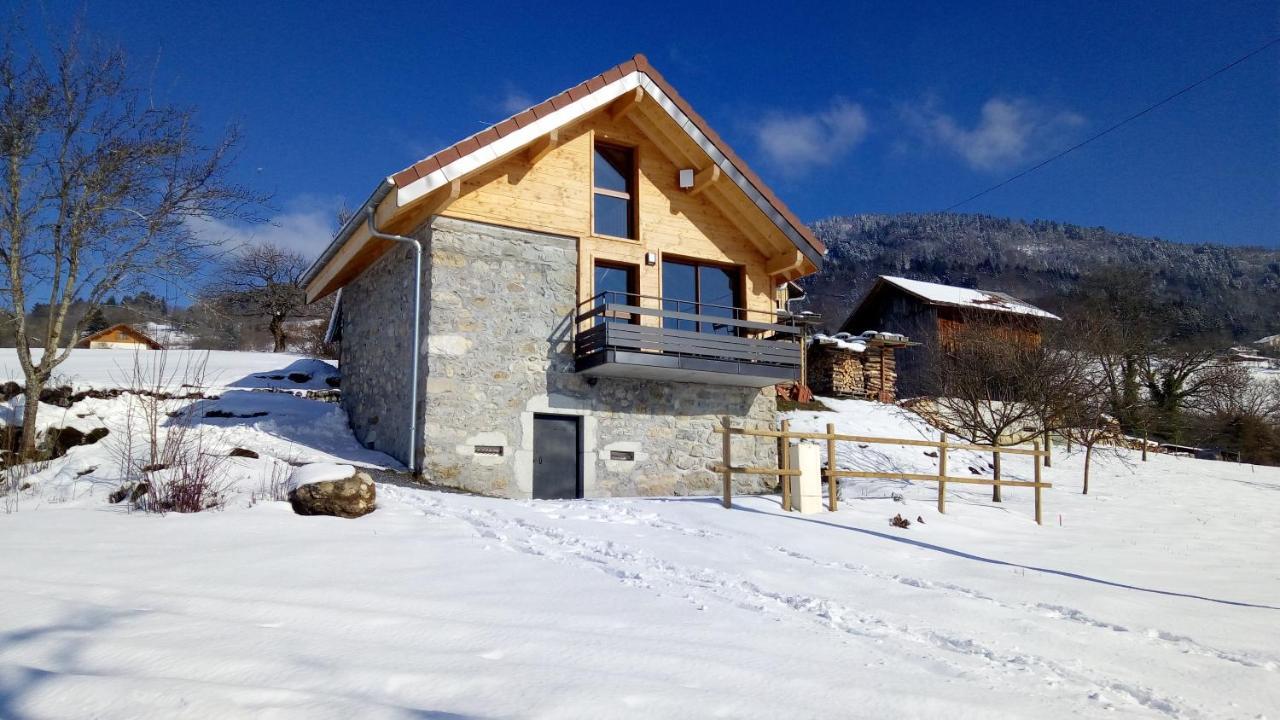 Le chalet des Pierres Viuz-en-Sallaz Extérieur photo